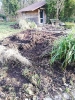 wildschwein2022